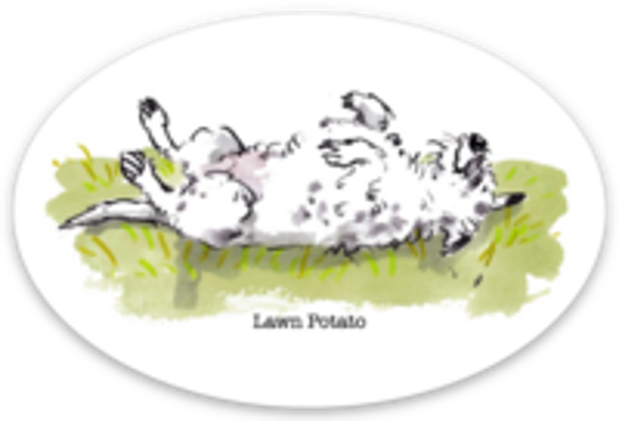Lawn Potato by Iain Welch